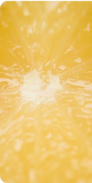 Lemon Balm 4:1 Extract