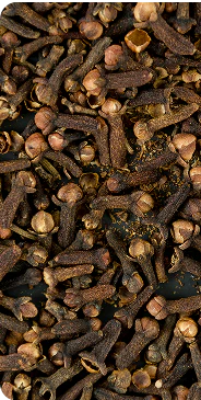 Clove Bud Oil